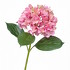 Гортензия Grande Fiore ярко-розовая от TREEZ, TZ.PL.TR.1808, 1-я фотография мини